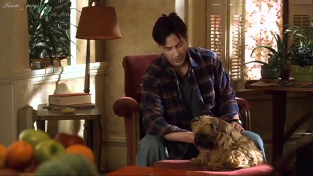 Keanu She said yeah