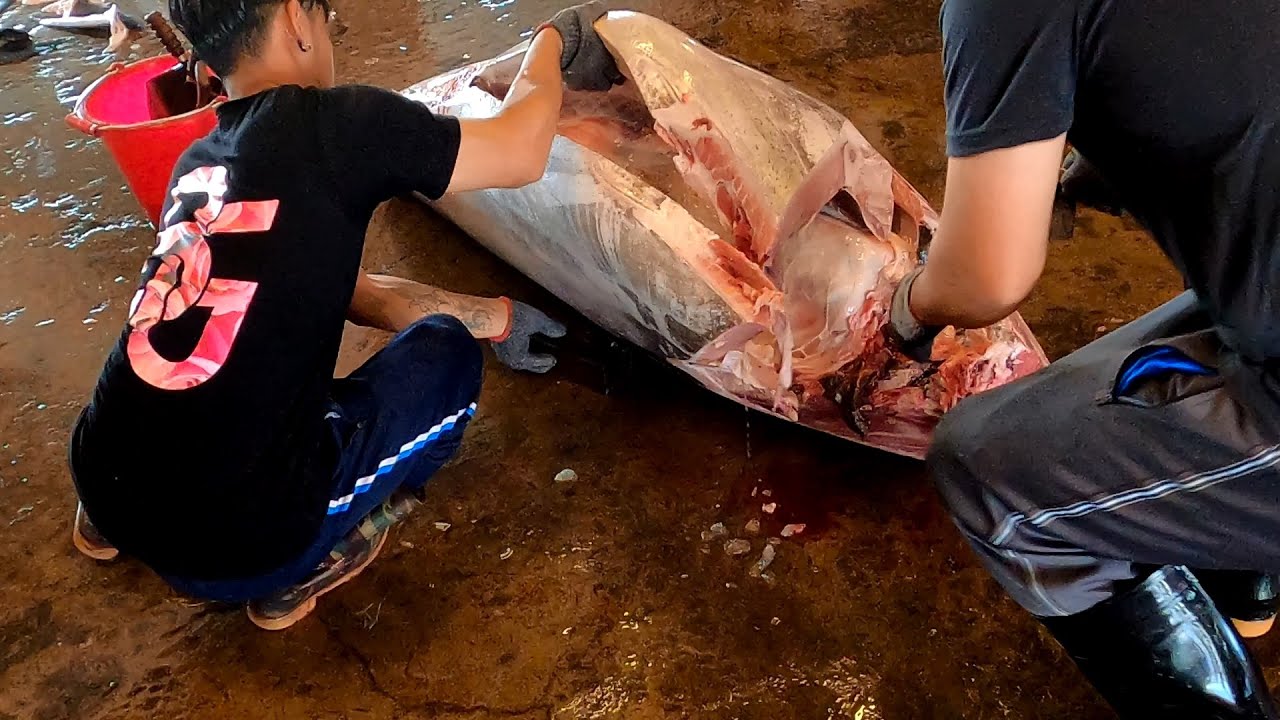 Top Cutting Skills For Giant Bluefin Tuna