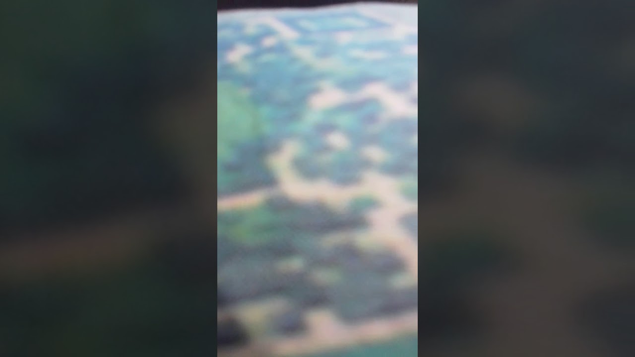 Interesting discovery with trees