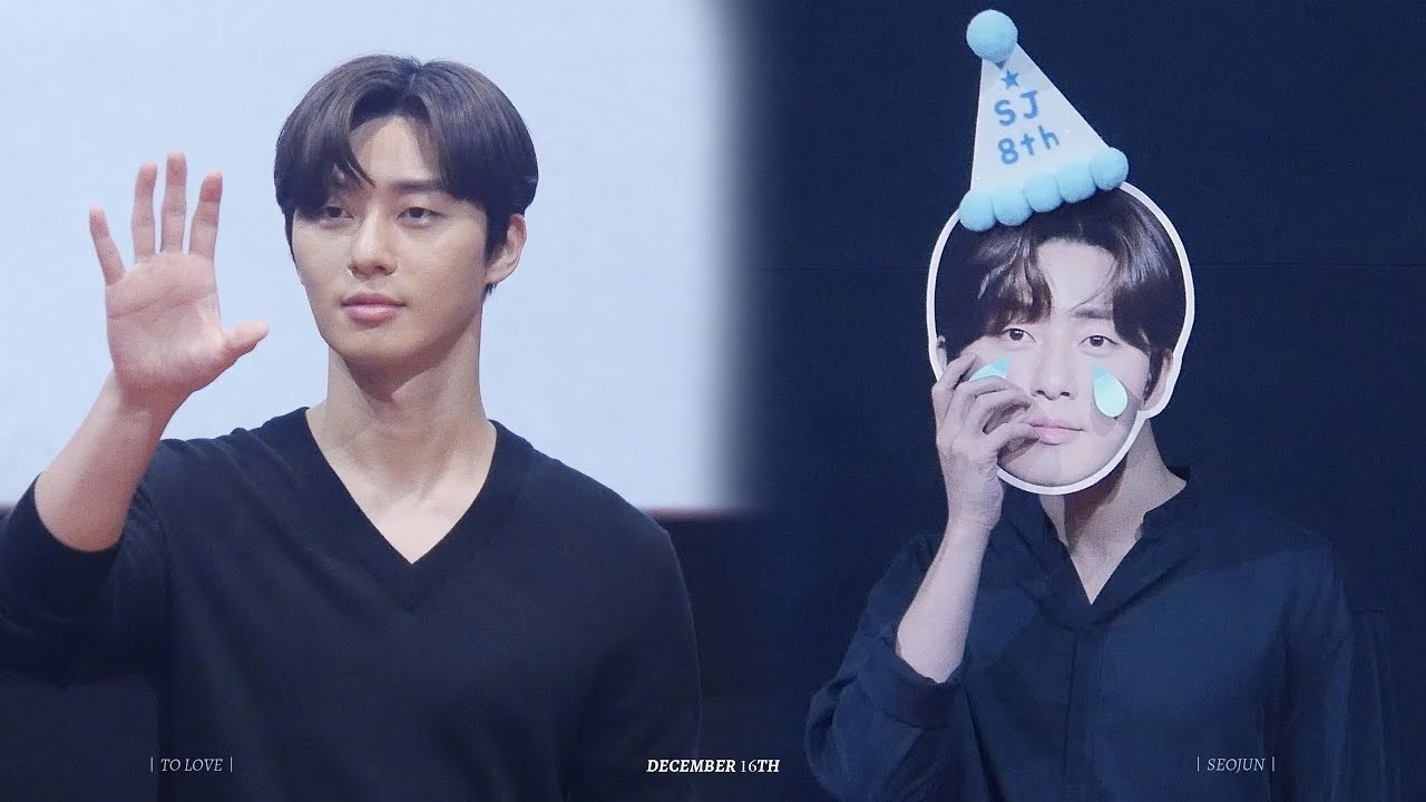 2019 사자 무대인사 모음 박서준 직캠
