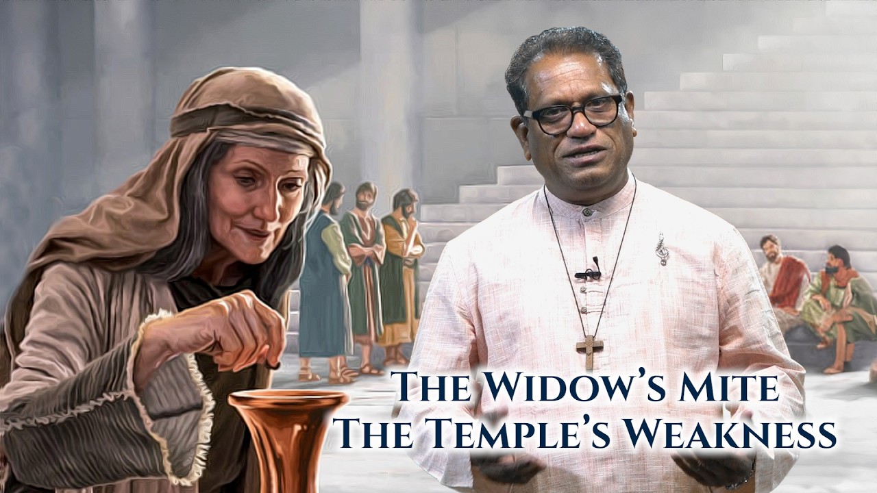 Homily | 32nd Sunday | Year B | Mark 12:38-44 