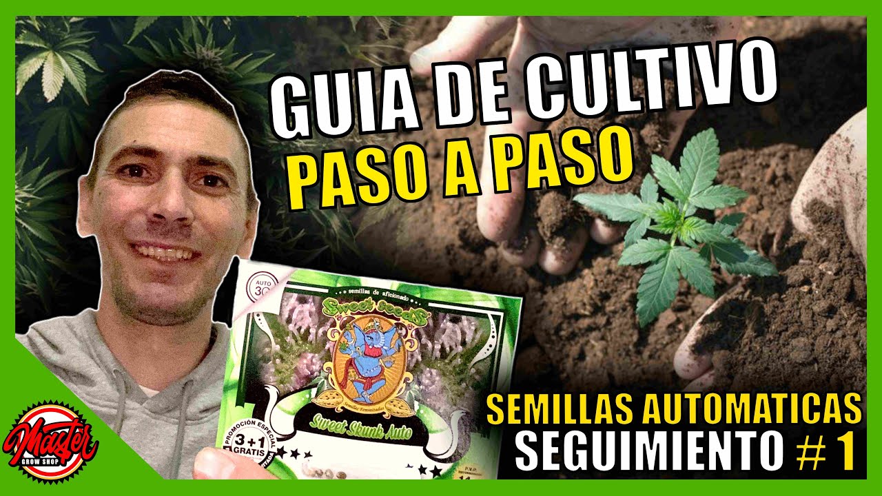 🌱#1- GU&Iacute;A DE CULTIVO | SEMILLAS AUTOFLORECIENTES