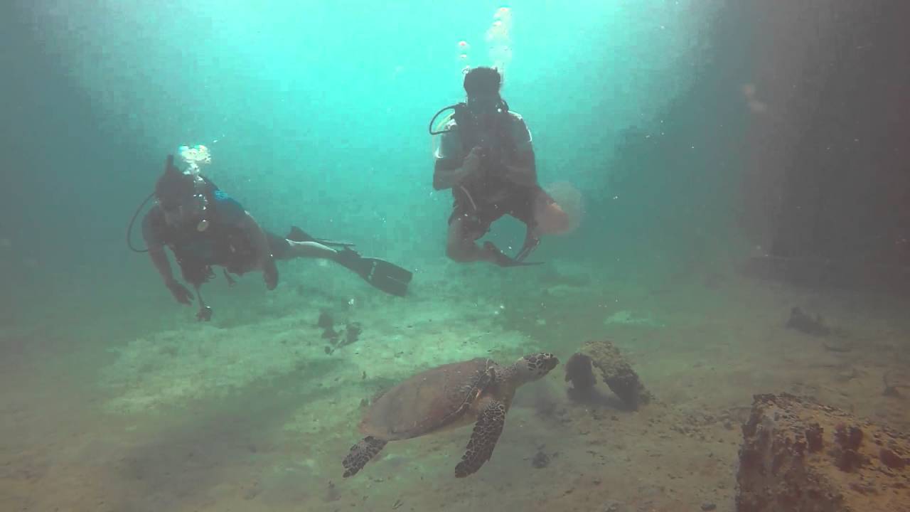 Vieques Island Mosquito Pier