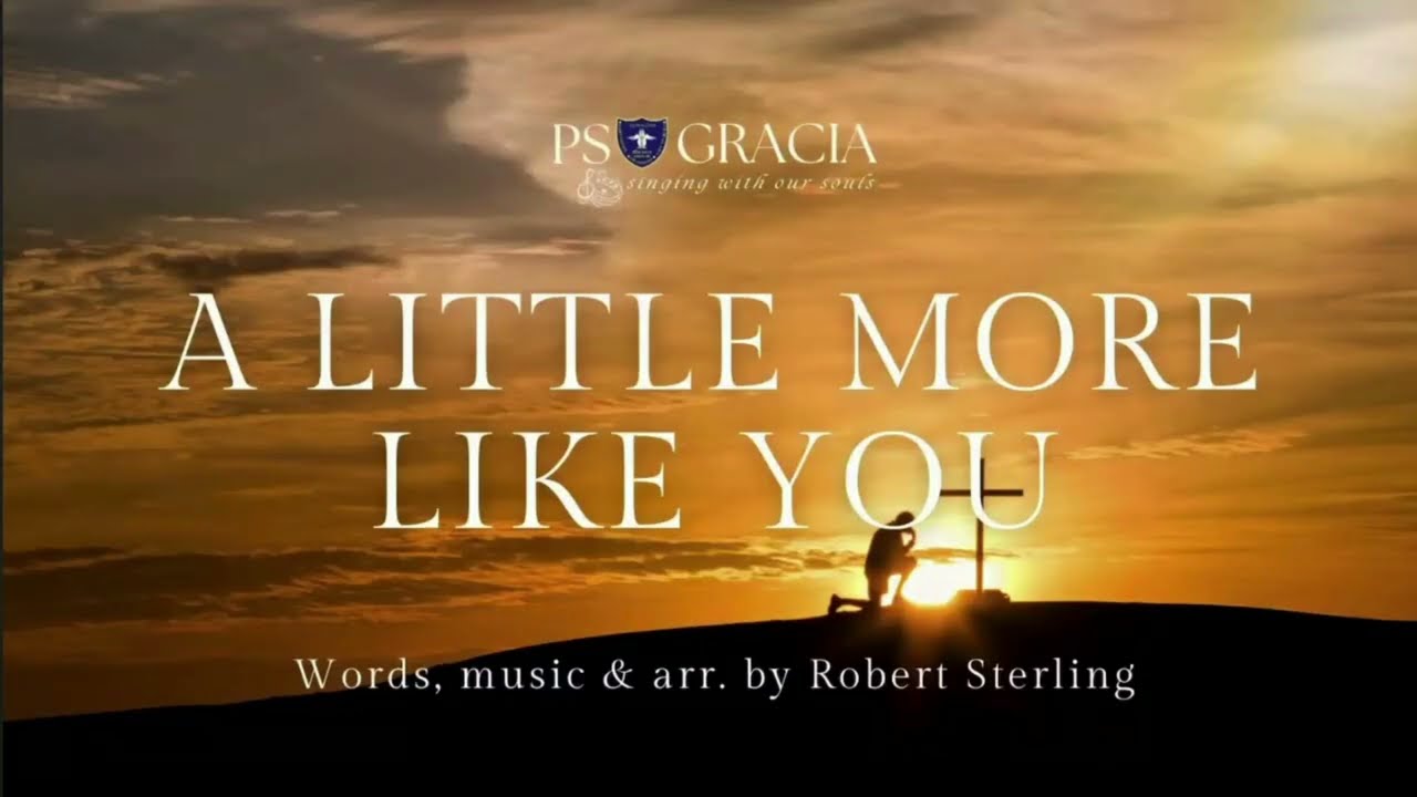 PS Gracia - A Little More Like You