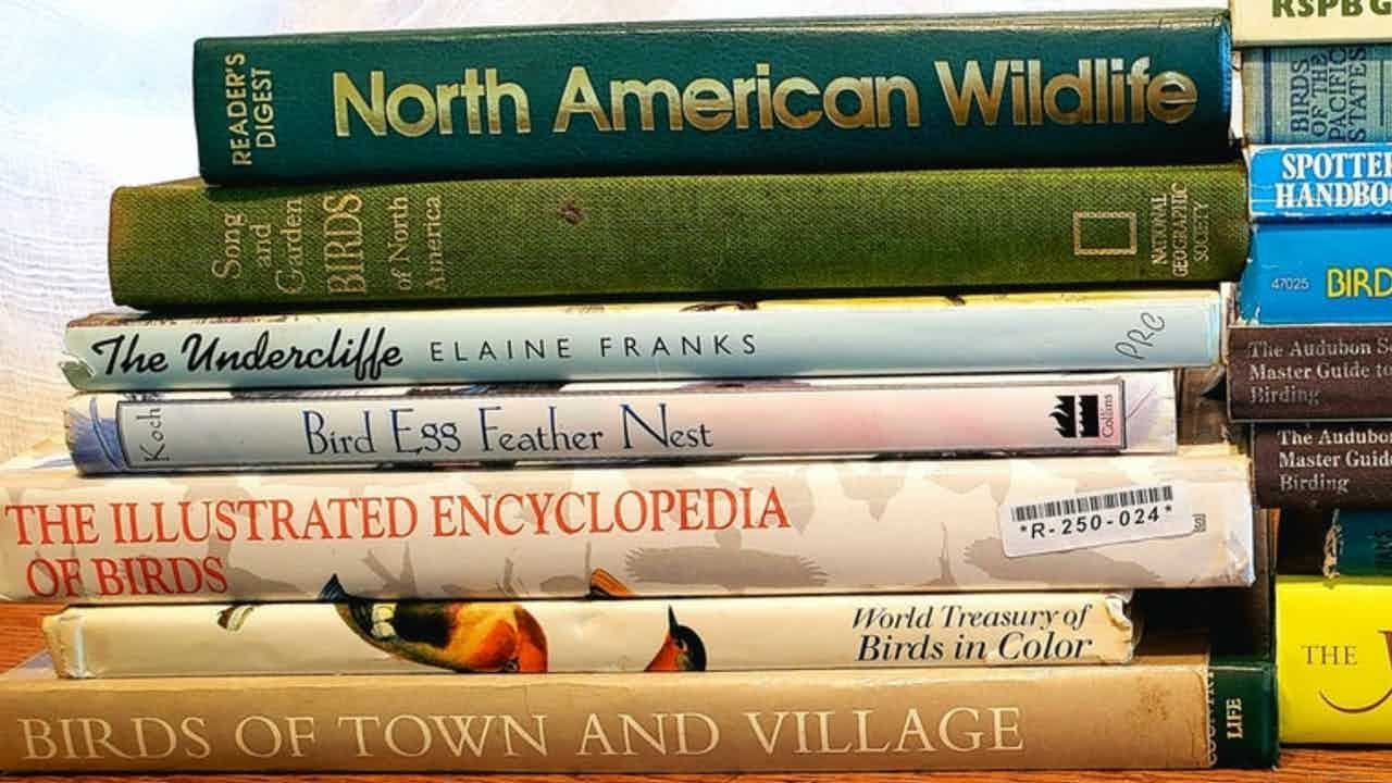 Books I Use for Junk Journals | Part 2 BIRDS