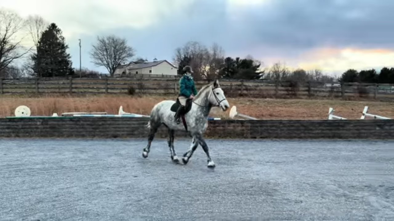 M.M. Acres Melody Flatwork in 40 MPH Winds - December 29, 2025