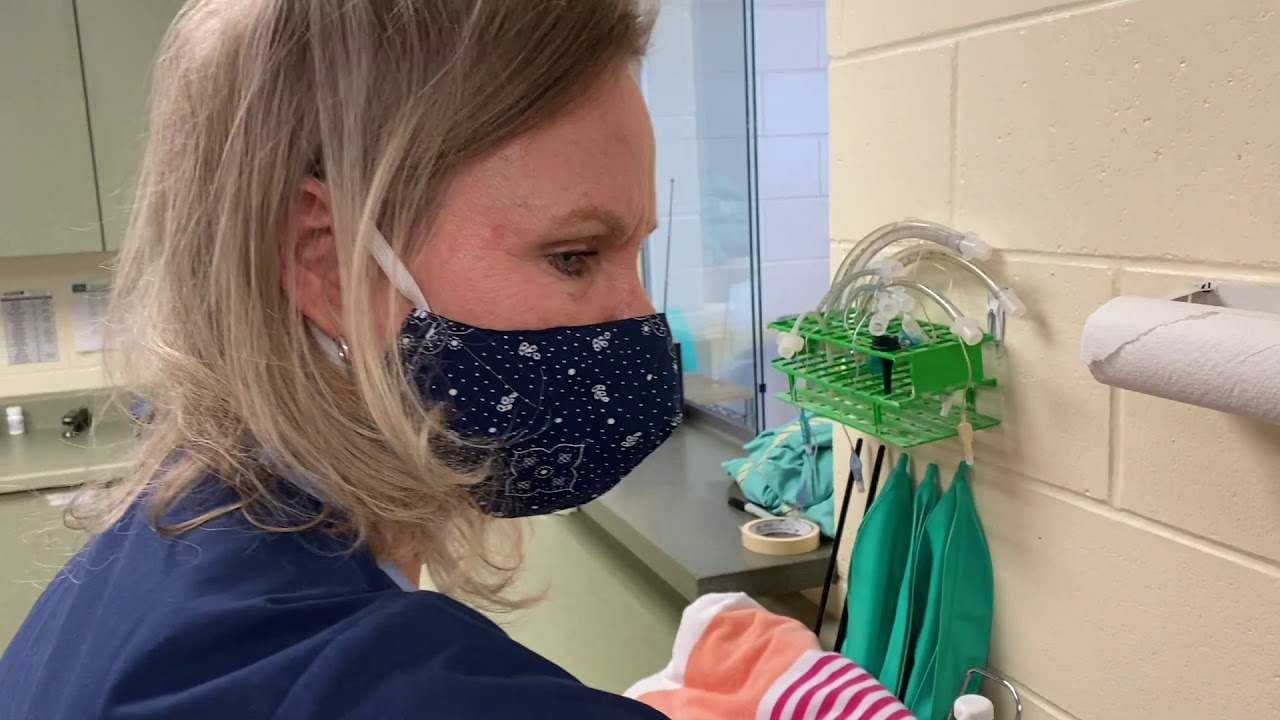 HAWS Snip Clinic feature