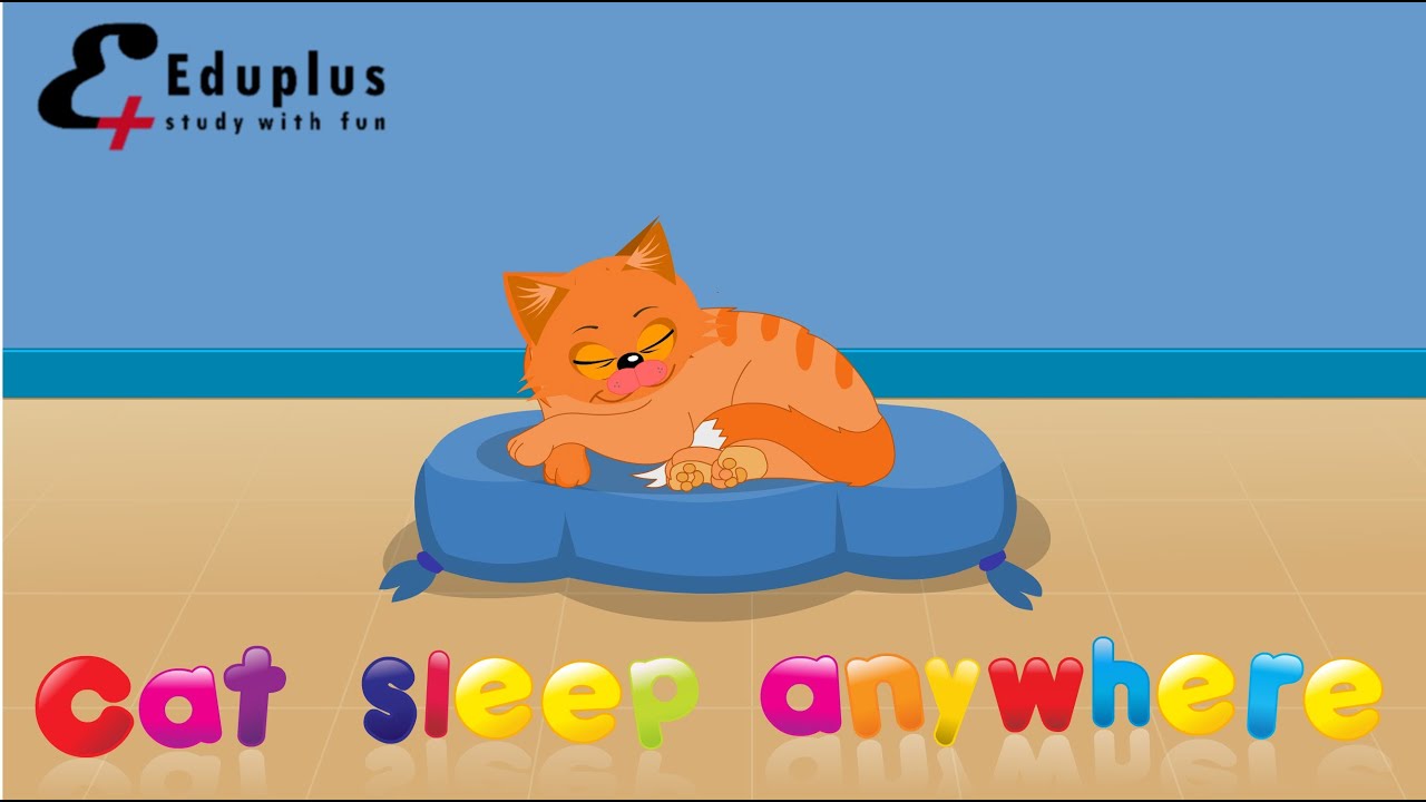Cats sleep anywhere rhyme | Kids Rhyme | Funny nursery rhymes | Kindergarten rhymes