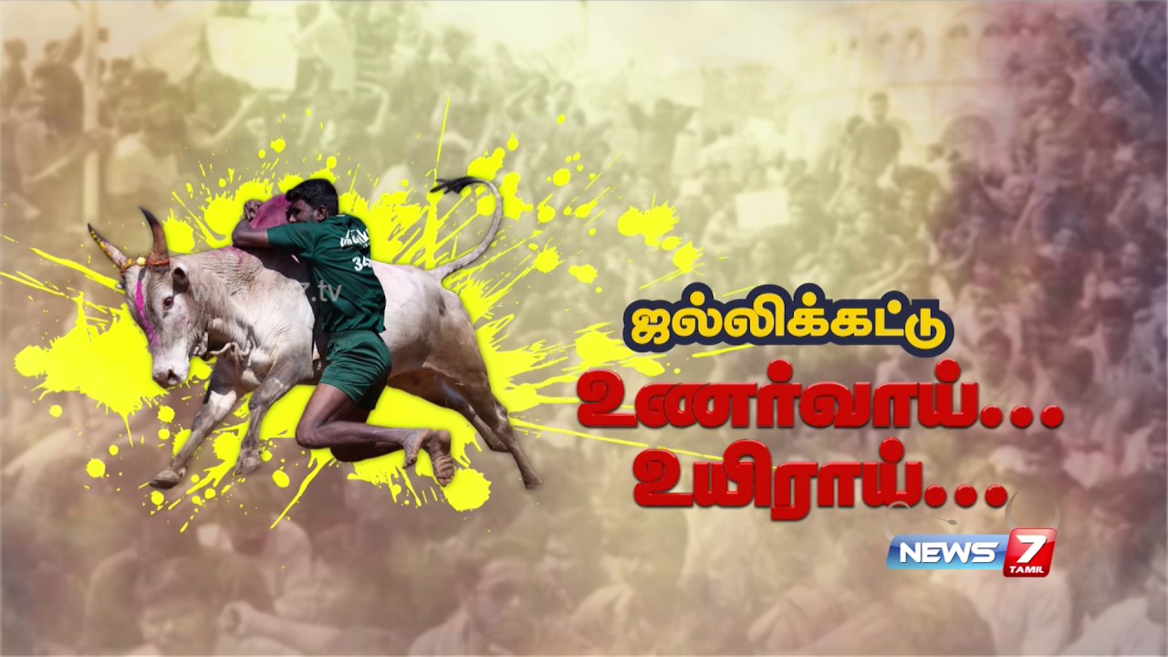 Social activist  Saranya on legal ways to solve Jallikattu issue | News7 Tamil