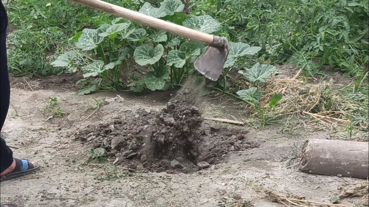 Used by Ancient Farmers, Old farm equipment (ketmon)معدات المزارعين القديمة | restoration