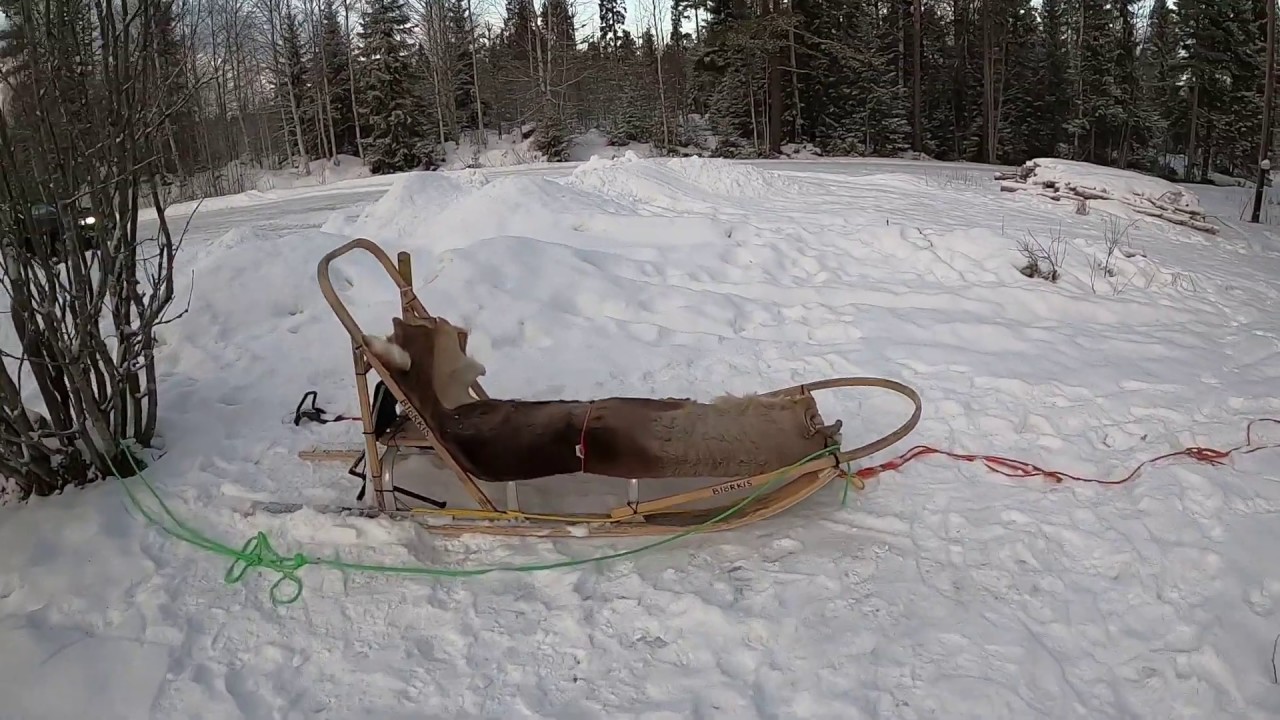 Basic instructions on how to drive the sled