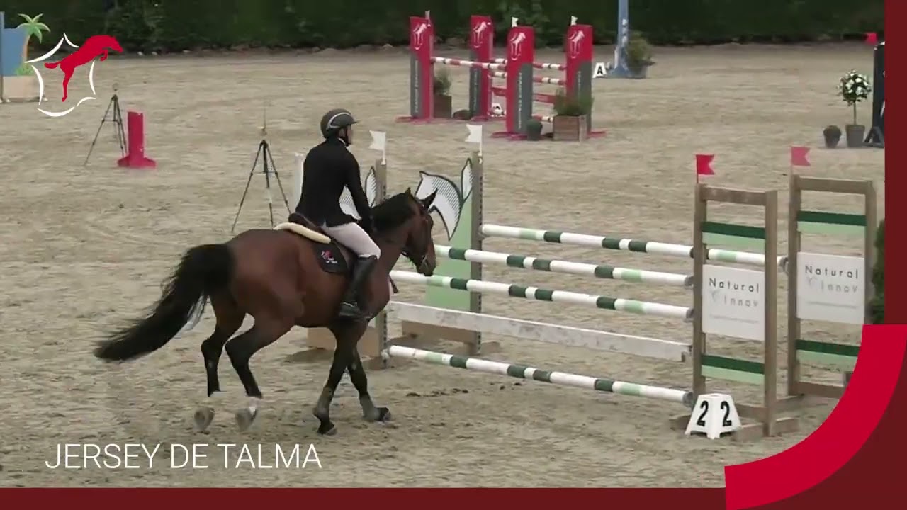 JERSEY DE TALMA - France Etalons 2026