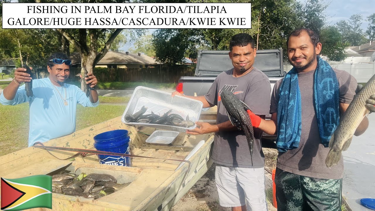 FISHING IN PALM BAY FLORIDA/TILAPIA GALORE/HUGE HASSA/CASCADURA/KWIE KWIE