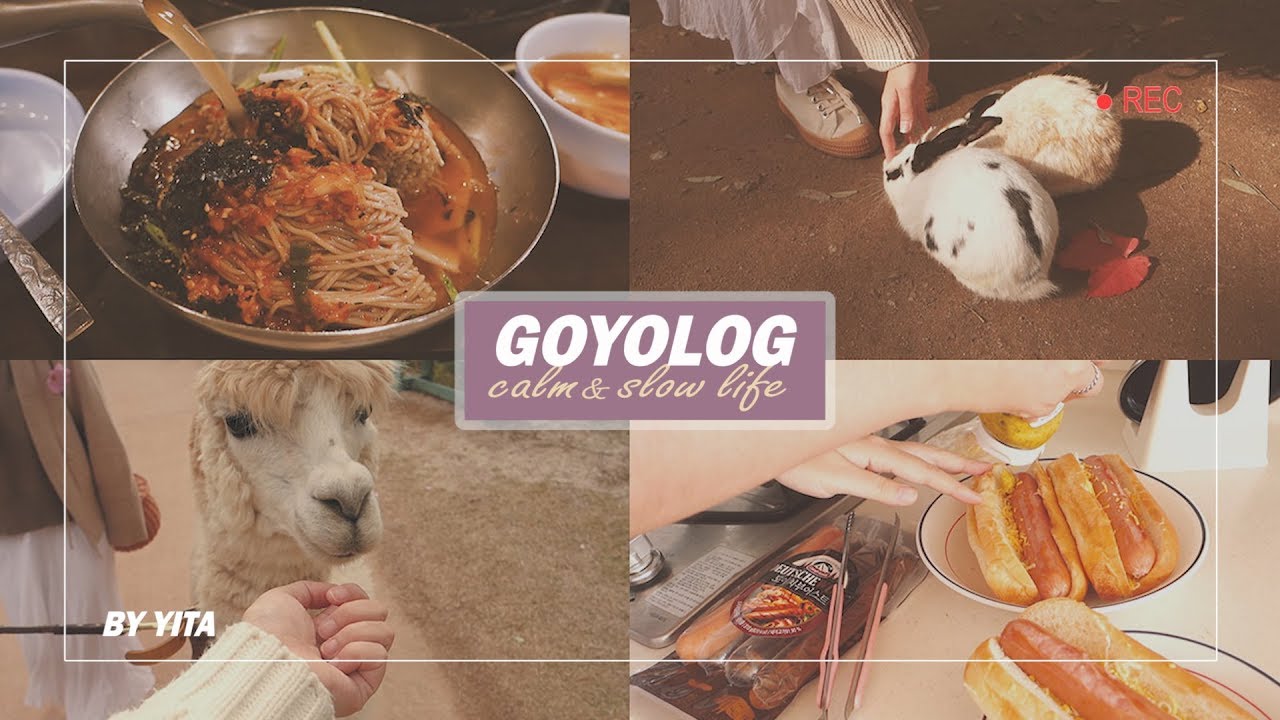 VLOG | 탈집순이 일상 브이로그 🐑 나들이 주간 - 홍천 알파카월드, 춘천 카페와 맛집 #yita #goyolog