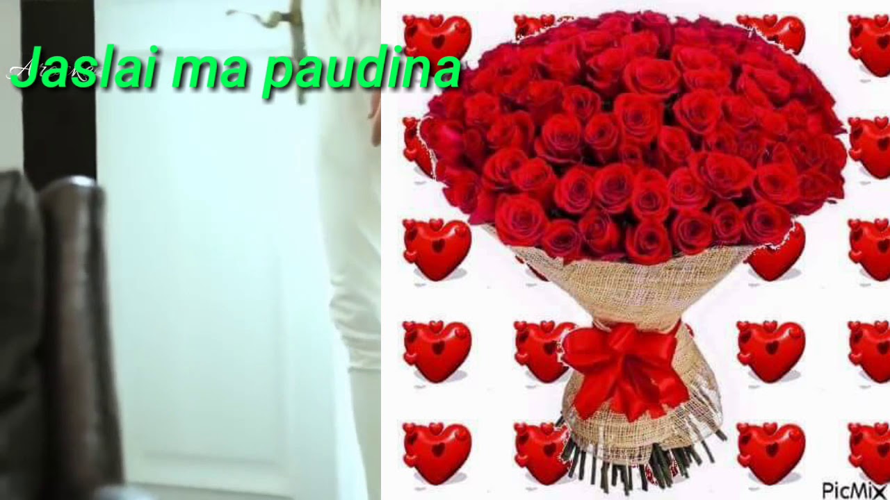 Jaslai Kahilei Paudina Korean Mix