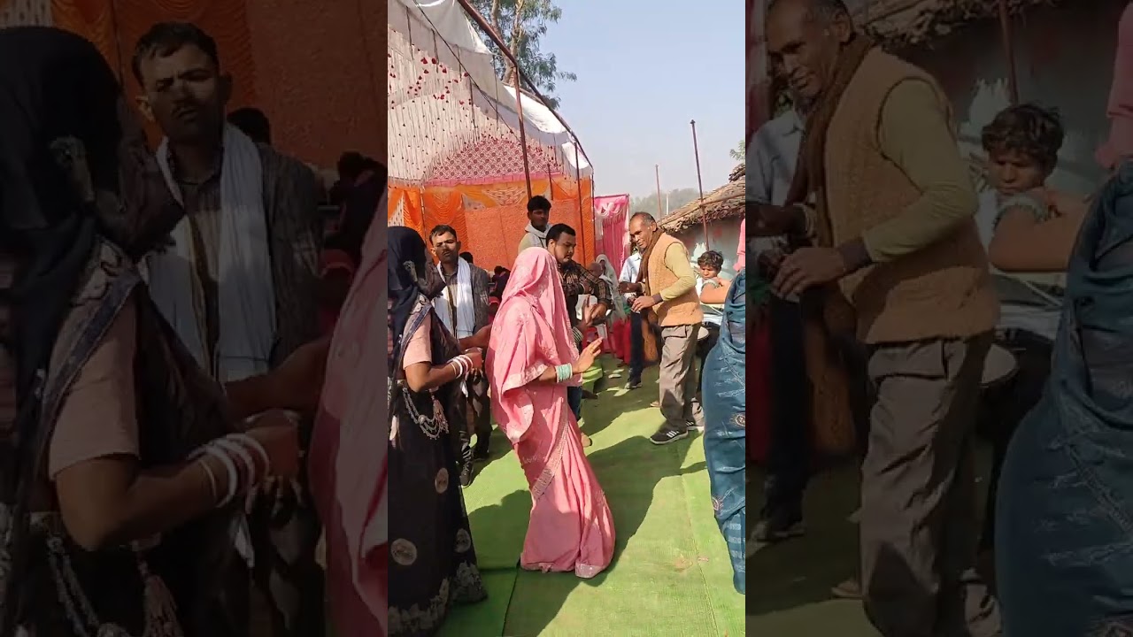 Bagheli dance Barat 3