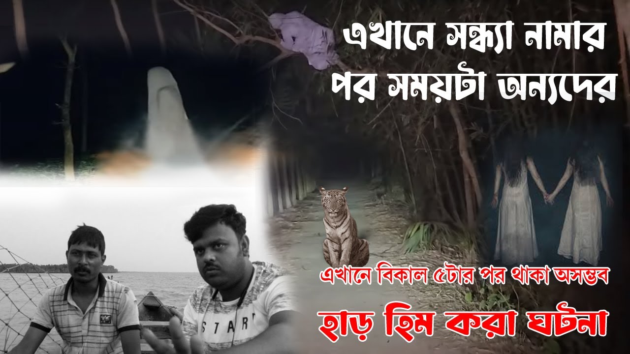 এখানে সন্ধ্যা নামার পর সময়টা অন্যদের,, বিকাল ৫টার পর শুরুহয় আসল খেলা ,@sundarbanoligoli