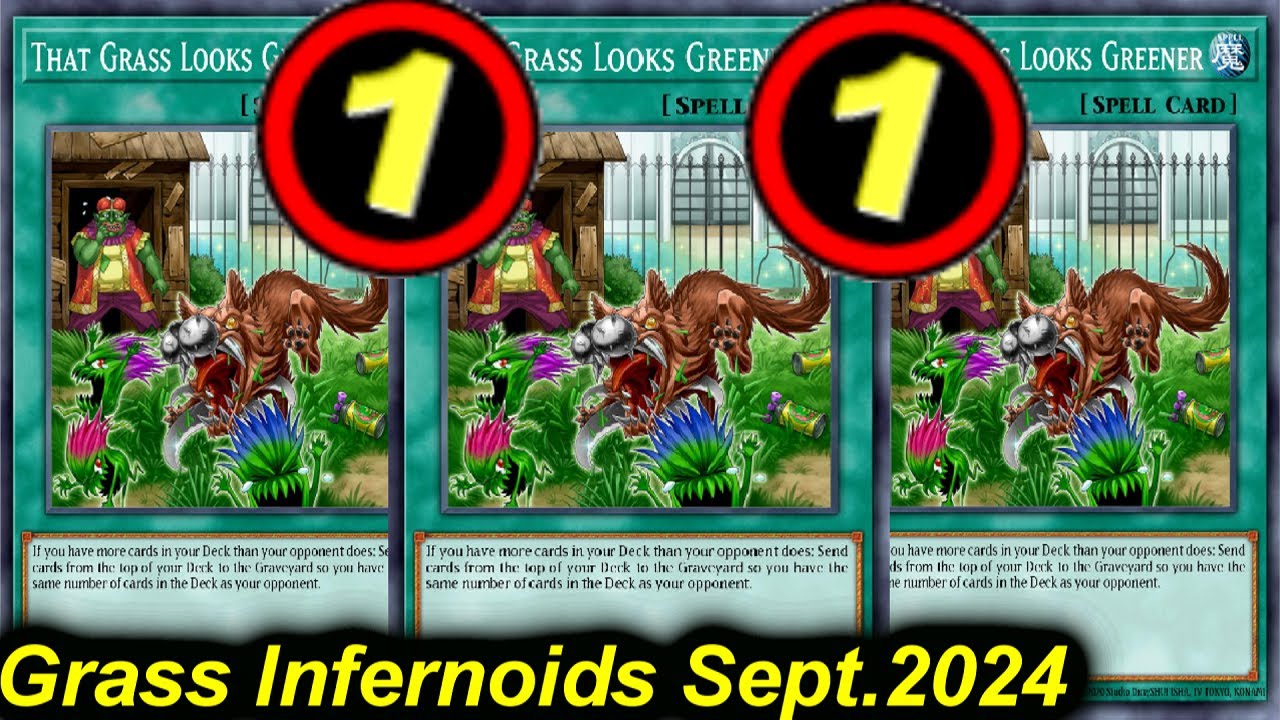 【EDOPRO】GRASS TO 1! GRASS INFERNOID DECK POST TCG BANLIST SEPT.2024