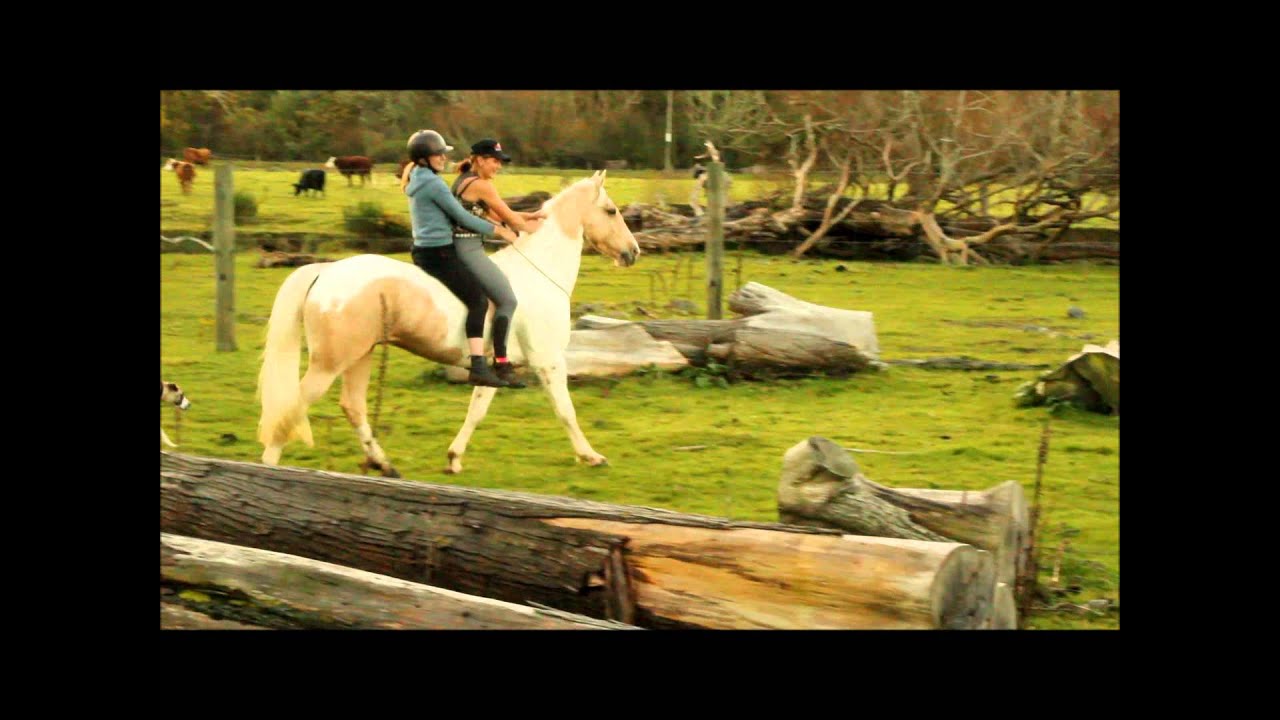 Crazy fun with the horses!