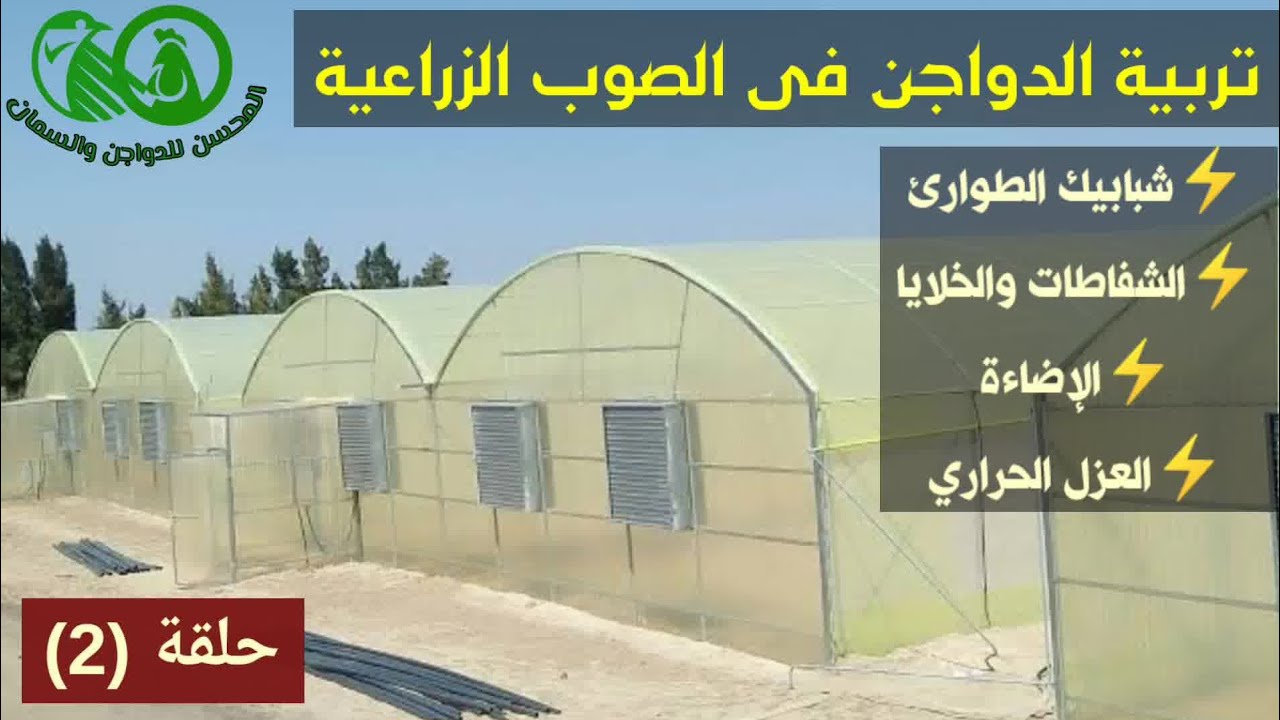 عزل الحرارة💫تركيب الإضاءة💫شبابيك الطوارئ👌تربية الدواجن فى الصوب الزراعية 💥 السعودية🇸🇦حلقة(2) المحسن#