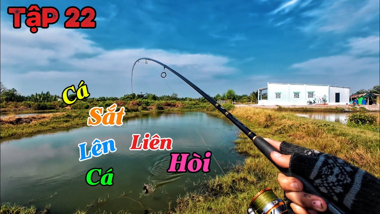 Câu cá lóc tập 22.Cá sắt hôm nay bảo cá lên liên hòi ! Spearfishing vietnam!@Thuvuisanbat62 