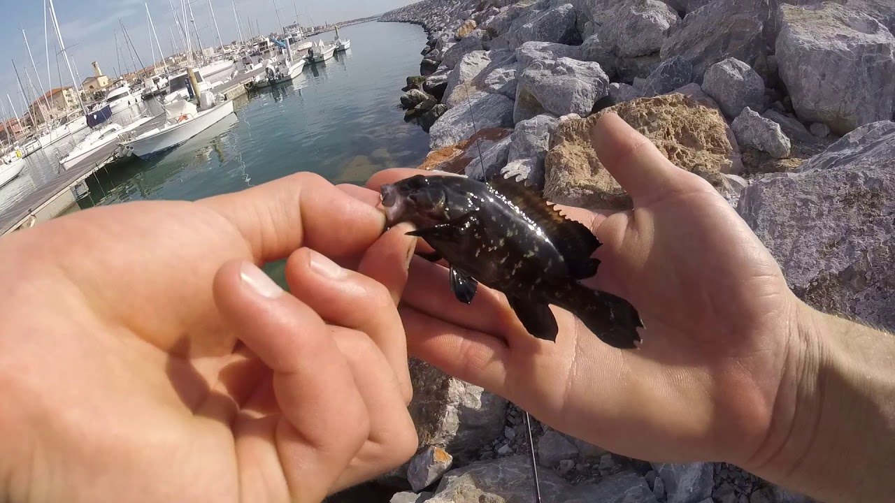 Solo CERNIE a LIGHT ROCK FISHING
