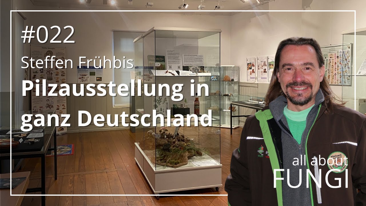 Pilze als Baumaterial, Medizin & Farbstoff | Steffen Frühbis zeigt die Zukunft der Mykologie
