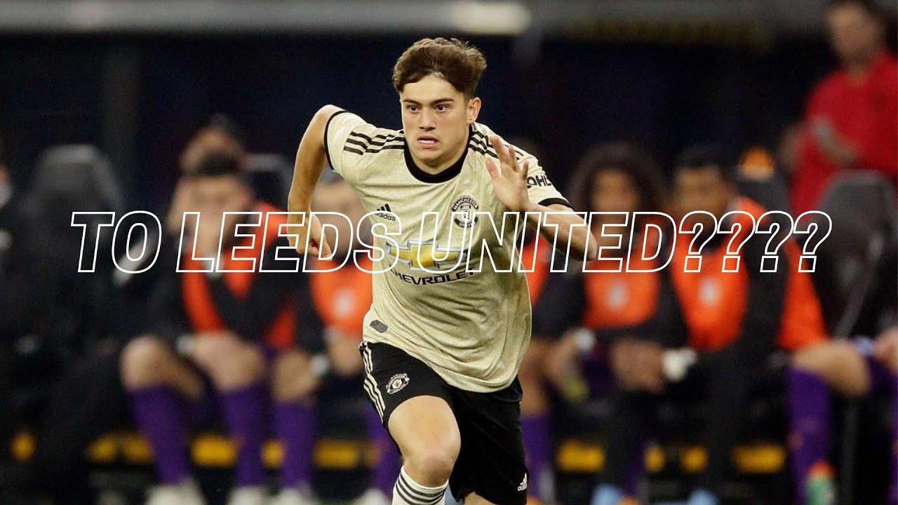 Daniel James All Goals & Assists HD