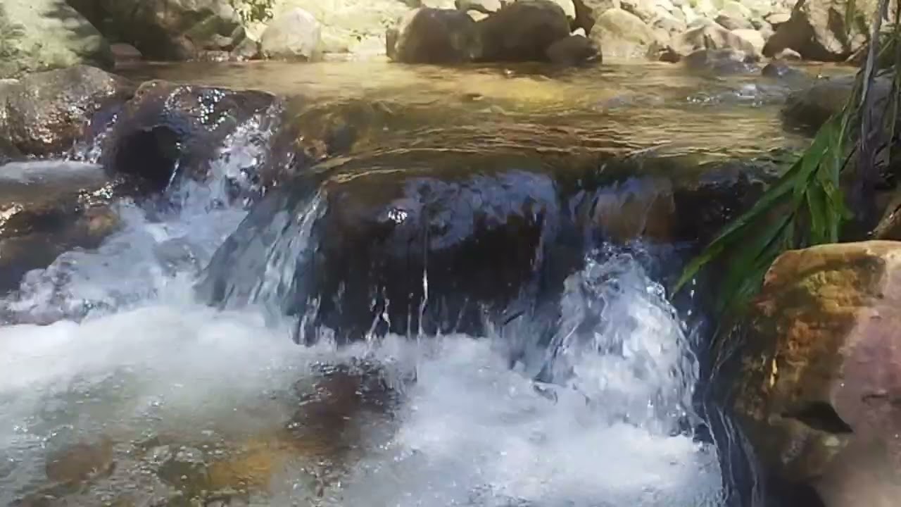 Calm Creek Ambience | Peaceful Water Flow