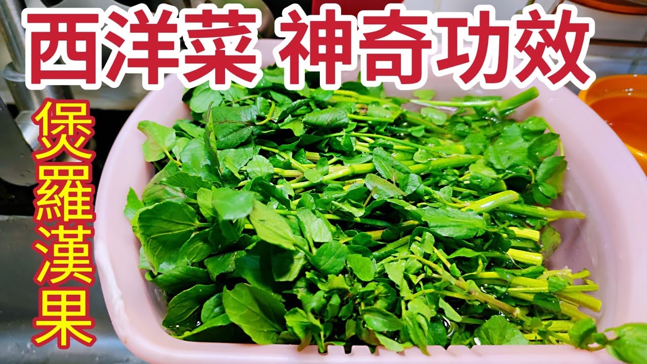 〈職人吹水〉神奇功效 /西洋菜煲羅漢果/ 簡單快捷立即舒緩 /清熱潤肺/舒緩喉嚨不適/西洋菜蜜/菜蜜/ 檸檬菜蜜/ 職人逆境自強菜式