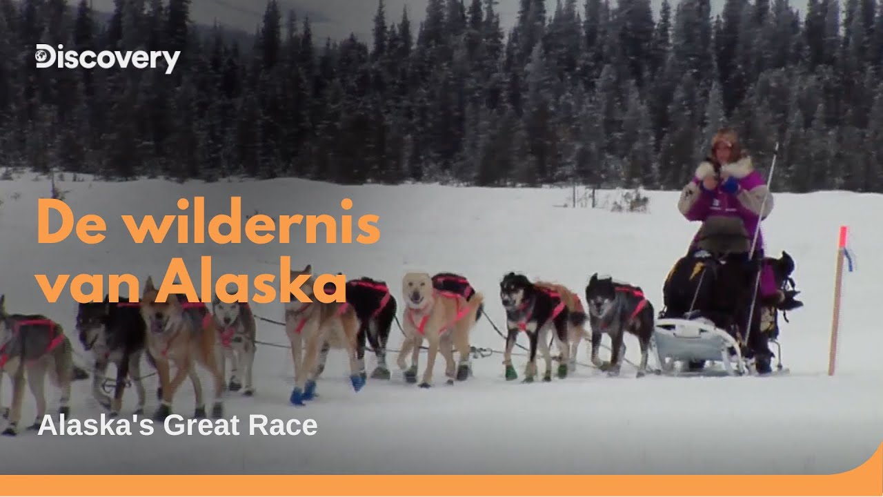 1800 Km Sledehondenrace Door De Wildernis | Alaska's Great Race