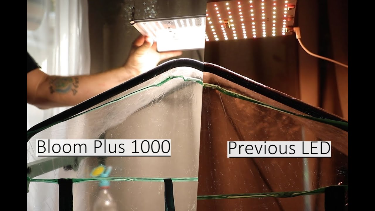 Grow Lights: Bloom Plus LED  Unboxing & Comparison Review: Plant Lighting