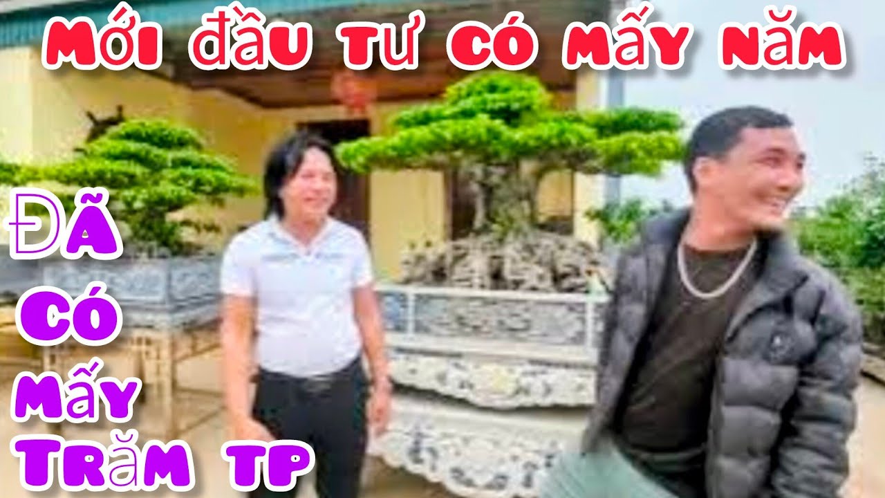 Mới đầu tư có vài ba năm mà đã có vài trăm tác phẩm cây cảnh. Nhận lời mời đưa hai tác phẩm đặc sắc 