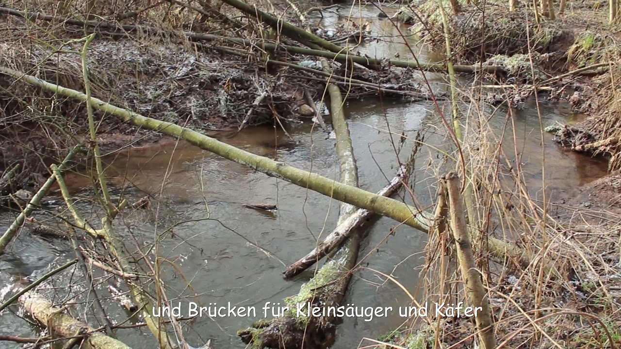 Renaturierung der Ulfe  Teil 2. Ein Film von Arno Werner