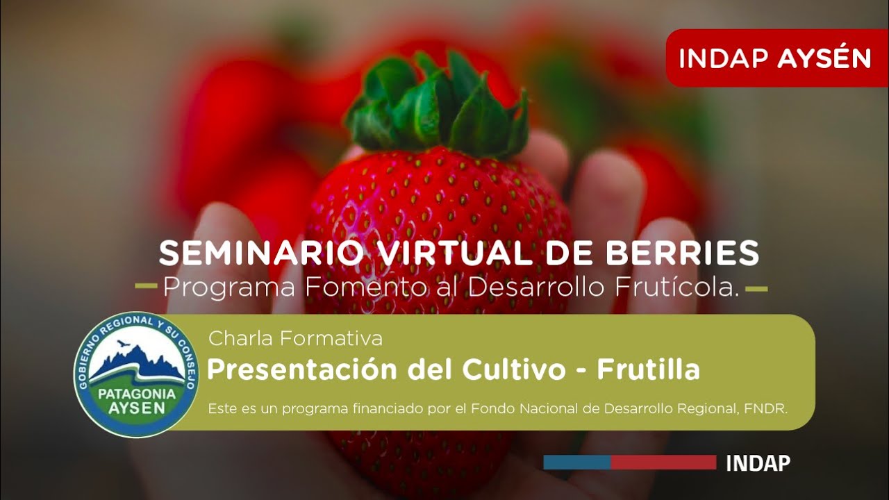 Presentación del Cultivo de la Frutilla - Seminario Virtual Berries
