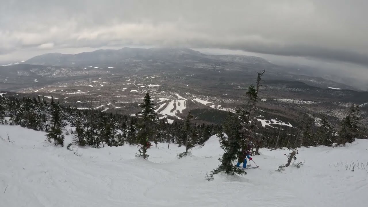 Stump Shot-Sugarloaf 2-14-26