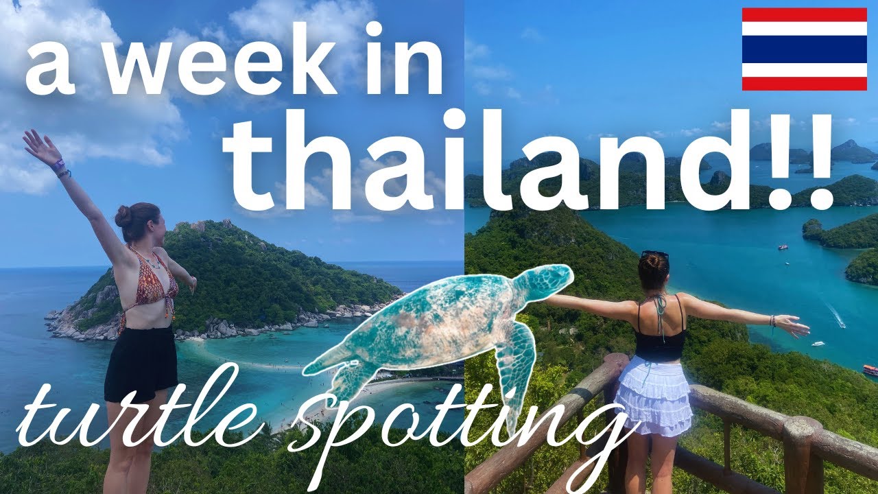обратно в ТАИЛАНД!!! | Ко Тао и Ко Самуи | дневники SE Asia, эпизод 16