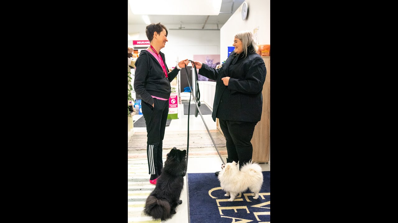 Lemmikkihotelli Doggies & Kittieksen asiakastyytyväisyys video