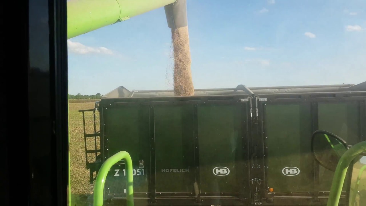 Deutz Fahr 5660 HTS Topliner beim Weizen dreschen mit Branter Z18051
