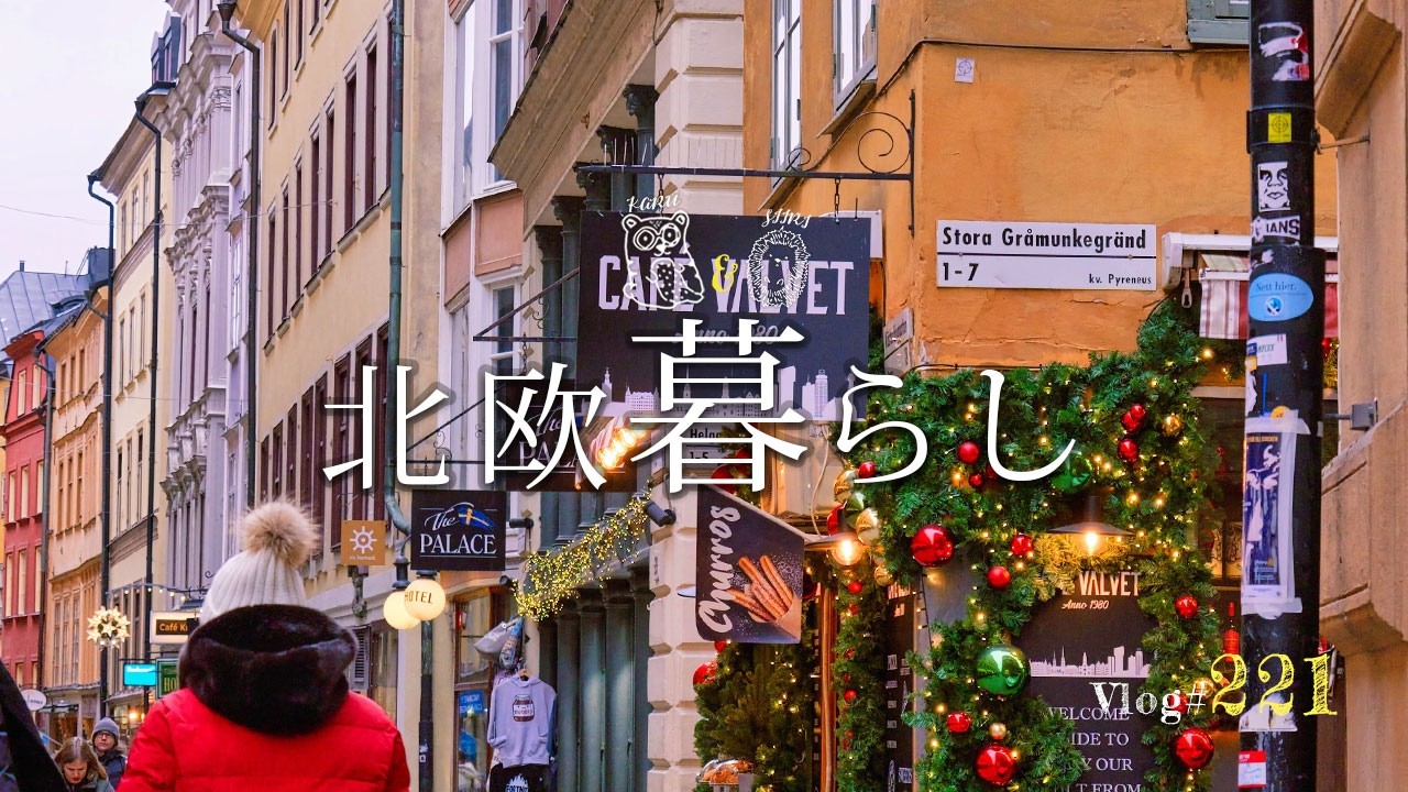 美しい旧市街とスウェーデン料理を楽しむ1日旅 / デザイン雑貨とお土産探し🌿