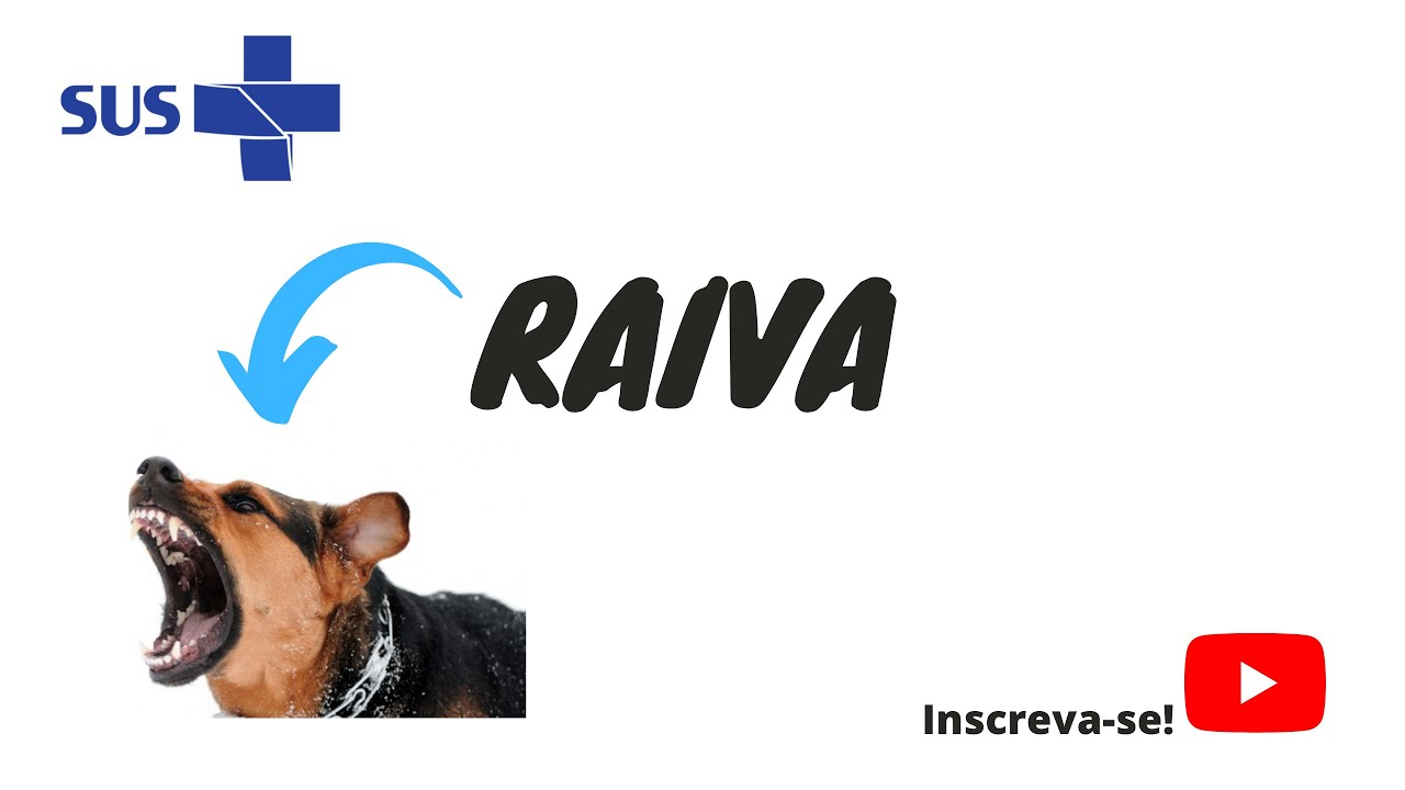 Doença Raiva - características gerais, transmissão e sintomas