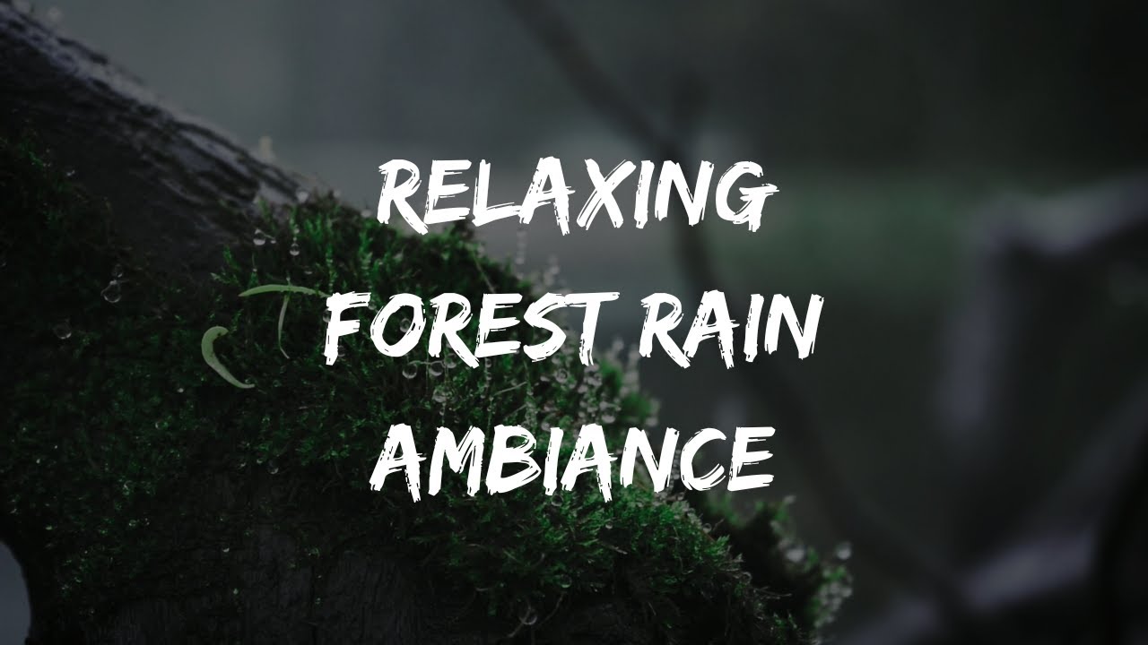 Rain Falling on Forest Canopy Ambiance - No Music  - Sleep Meditation Relaxation