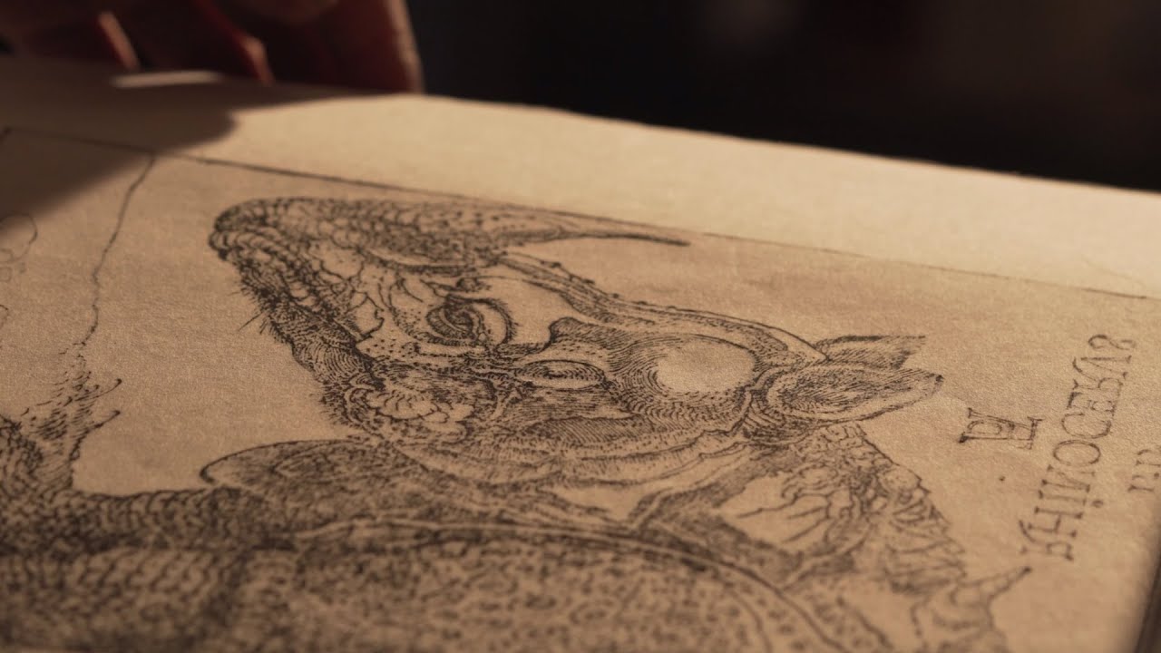 Impressions of Albrecht Dürer — FactumArte x Musei Civici Bassano del Grappa