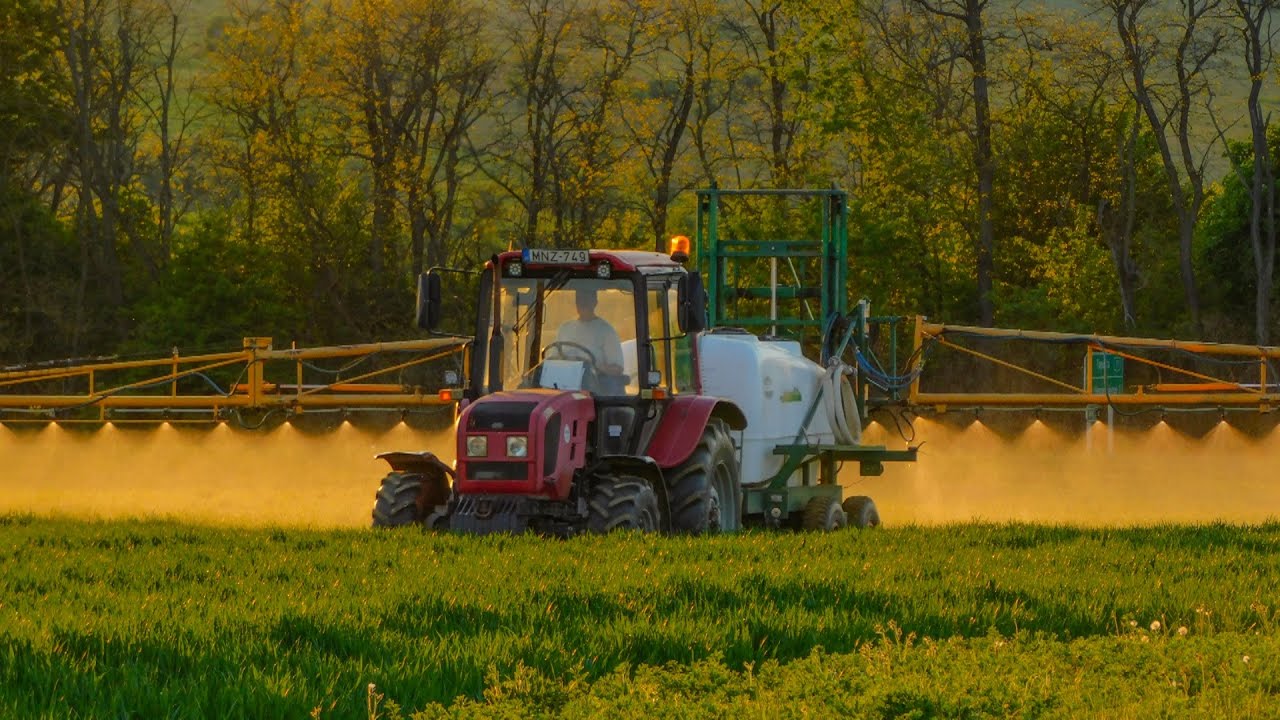 Árpa és búza permetezés / Spraying Barley & Wheat 2020 MTZ+HUNIPER