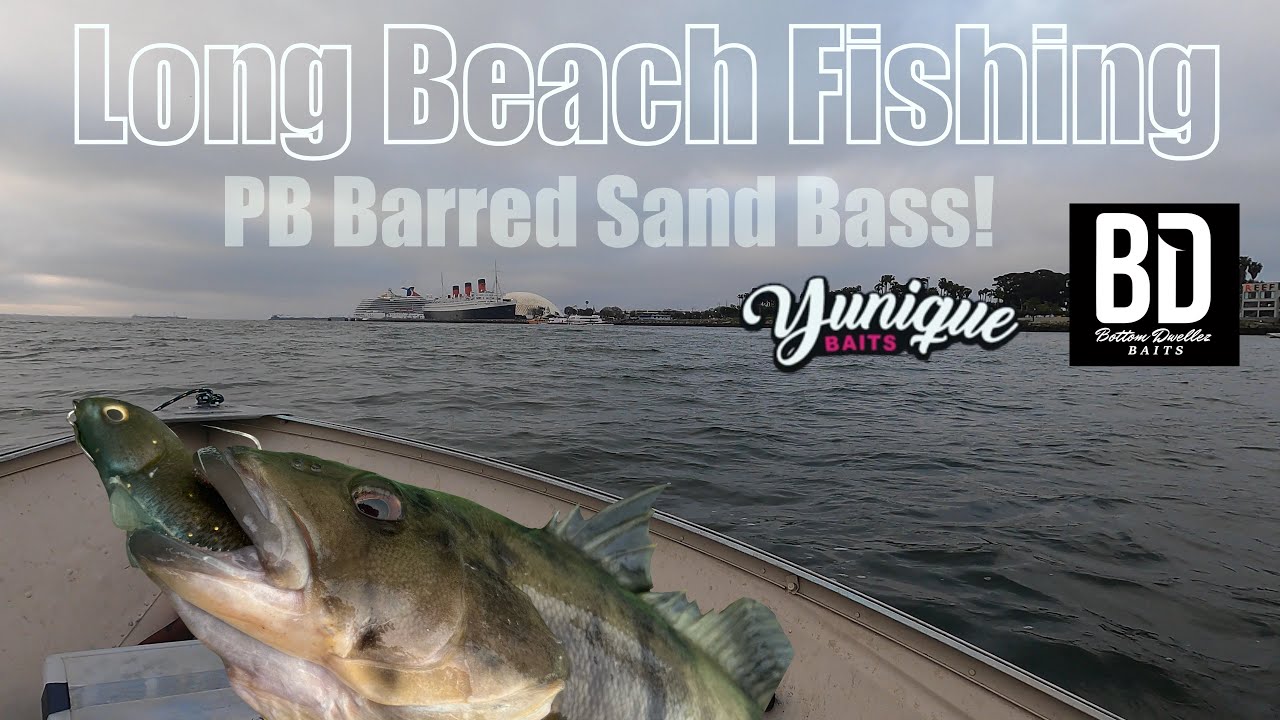 Long Beach Fishing | BAF Bass Boat Mission! (PB Sandbass)
