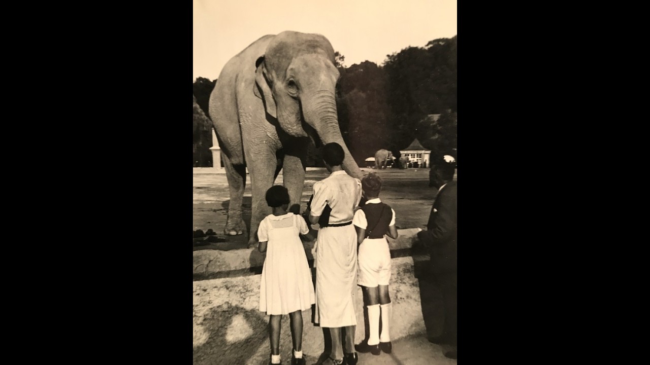 Elefant und Mücke, Foxtrot, Kurt Widmann Tanzorchester, Erwin Hartung, Berlin, 1939