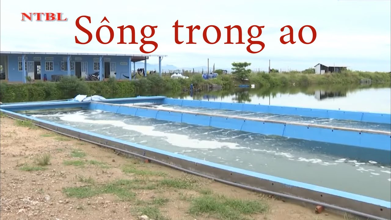 Mô hình nuôi thủy sản sông trong ao
