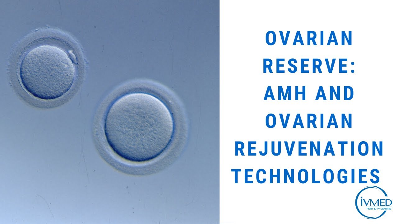 Ovarian reserve and ovarian rejuvenation technologies with PRP | IVMED Fertility Centre | #AMH #PRP