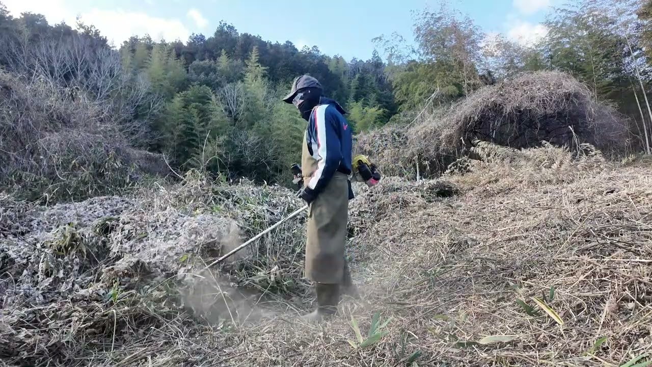 西の耕作放棄地、笹竹・葛・朽ちた低木が折り重なっている放棄地、25㏄エンジン草刈り機、3枚刃で刈っていく。半分以上は刈れている感じ。