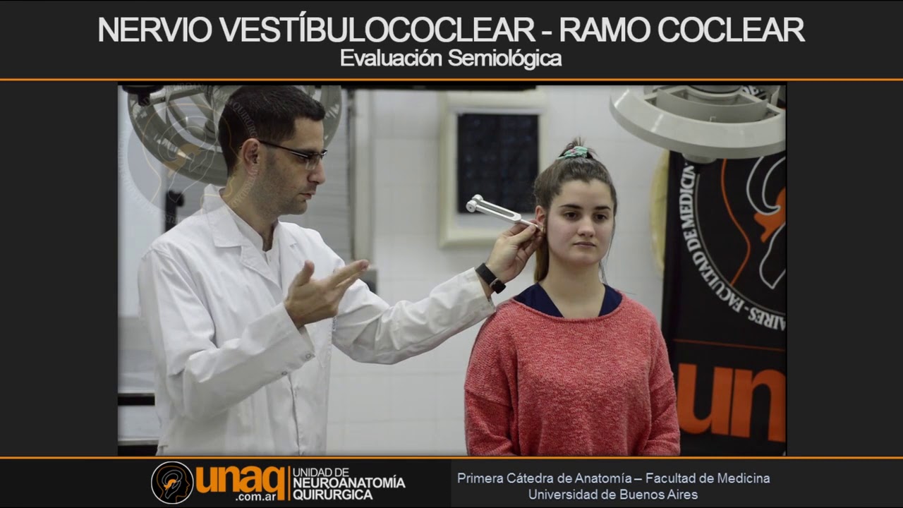 NEUROSEMIOLOG&Iacute;A   NERVIO COCLEAR UNAQ